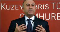 وزير الخارجية التركي: سنلاحق صالح مسلم أينما ذهب 