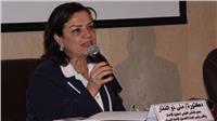 11 مليار جنيه حجم محفظة التمويل متناهي الصغر بمصر