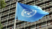 الأمم المتحدة تنشأ خطا ساخنا للإبلاغ عن حوادث التحرش الجنسي بالمنظمة
