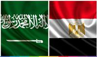 فيديو.. تعرف على تاريخ العلاقات المصرية السعودية 