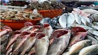 تراجع «أسعار الأسماك» بسوق العبور اليوم