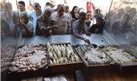 «الزراعة» تطرح كميات من الأسماك بأسعار مخفضة لأهالي سيناء