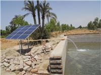 فيديو.. مزرعة سمكية تعمل بالطاقة الشمسية في مصر