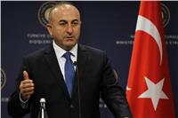 وزير الخارجية التركي يرجح انتهاء «غصن الزيتون» في مايو المقبل 