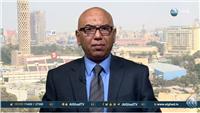 فيديو| «عكاشة»: الجيش يحقق نجاحات مبهرة في سيناء