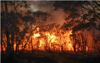 حرائق الغابات تجبر السكان على الفرار في ولاية فيكتوريا بأستراليا