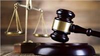 تأجيل محاكمة 20 محاميا في قضية إهانة القضاء بالمنيا 