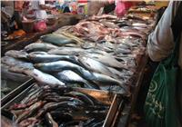 «أسعار الأسماك» في سوق العبور اليوم