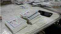 النتائج الأولية للانتخابات| السيسى 1613 صوتا وموسى 49 بلجنة 1 بمدينة نصر