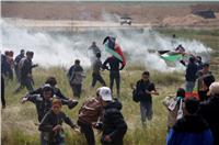 إصابة 7 فلسطينيين برصاص الاحتلال الإسرائيلي على حدود قطاع غزة