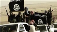 الثلاثاء..استكمال المرافعة في محاكمة 67 متهم في تنظيم داعش الصعيد