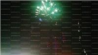 الألعاب النارية تزين سماء حدائق القبة احتفالًا بـ «فوز السيسي»