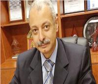 سفير مصر بطوكيو: أرغب في نقل صورة مصر الحقيقية لليابان