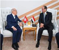 السيسي: مصر حريصة على الاضطلاع بمسئولياتها تجاه الوطن العربي
