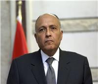 الخارجية: نحن بصدد وضع إطار مؤسسي يحدد العلاقات المصرية الفرنسية