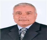 «دربالة» يفوز بمنصب نائب رئيس نقابة الصحافة والطباعة والإعلام 