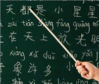 الصين تبحث إنشاء معهد لتعليم اللغة الصينية لـ«الصعيد»