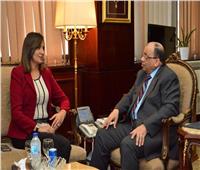 وزيرة الهجرة تلتقي وزير التنمية المحلية لبحث مشكلة إجازات المصريين بالخارج 