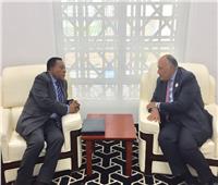 وزير الخارجية يبحث مع نظيره التنزاني العلاقات الثنائية والقضايا الإقليمية 