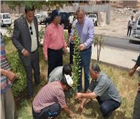 «الدالى»يشارك العمال فى مبادرة «1000 شجرة» بإمبابة