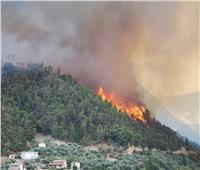 اليونان تبدأ في دفن قتلى حرائق الغابات وسط انتقادات حادة للحكومة
