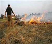 البيئة: نتصدى لأزمة حرق قش الأرز بـ19 مشروعا لتدوير المخلفات
