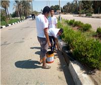 صور| انطلاق مبادرة لنظافة مدينة الطود في محافظة الأقصر