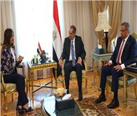  وزيرا الهجرة والاتصالات يبحثان الخدمات البريدية الخاصة بالمصريين بالخارج