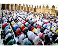 محافظة الجيزة: تخصيص 476 ساحة لصلاة عيد الأضحى