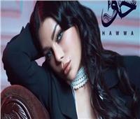 إسلام زكي يتعاون مع هيفاء وهبي في ألبوم «حوا»