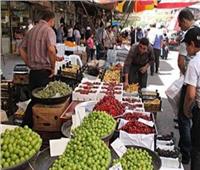 برلماني يحذر من جنون أسعار الخضروات والفاكهة