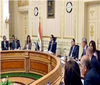رئيس الوزراء يعقد اجتماعاً للجنة تسيير برنامج التنمية المحلية بصعيد مصر