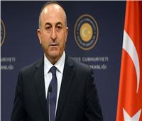 وزير الخارجية التركي: أنقرة وبرلين تعملان بجد لاستعادة العلاقات
