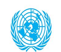 الأمم المتحدة تنفي تعيين «الفضالي» سفيرًا لمواجهة الجوع وسوء التغذية