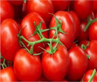 «خبير زراعي»: لا توجد طماطم مسرطنة وما يتردد «شائعة»