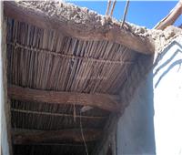 إجراءات وقائية ومطالب بزيادة الدعم.. «النمل الأبيض» يهدد 602 منزل بالوادي الجديد