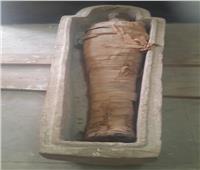 العثور على «تابوت حجري» بداخله مومياء بالبر الغربي بأسوان