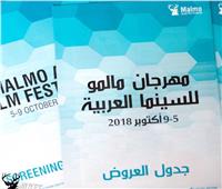٩ أفلام مصرية تشارك في مهرجان «مالمو للسينما العربيه»