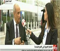 سفير الجامعة العربية: مصر قادرة على تنفيذ أي أمر يتم الاتفاق عليه