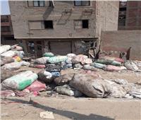 صور| القمامة تخنق سكان منطقة «أرض اللواء»