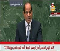 «تحيا مصر».. صديق دائم للرئيس السيسي داخل الأمم المتحدة