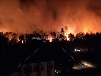 محافظ الوادي الجديد: الرئاسة تتابع عن كثب حريق قرية الراشدة| فيديو الحريق