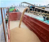 صور| استمرار نقل أطنان القمح والسلع من ميناء دمياط إلى صوامع إمبابة