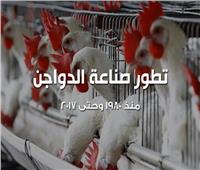 فيديوجراف | تطور صناعة الدواجن منذ 1980 وحتى 2017