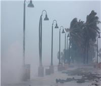 سقوط أول قتيل في فلوريدا بسبب «إعصار مايكل»