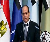 فيديو| السيسي: مصر لم تفقد الإرادة مهما واجهت من صعاب