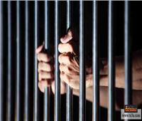 السجن المشدد 15 عامًا لخلية الشرقية الإرهابية 
