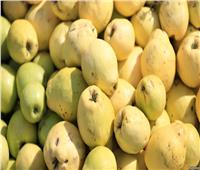 «الزراعة»: رفع الحظر عن صادرات الجوافة المصرية إلى السعودية