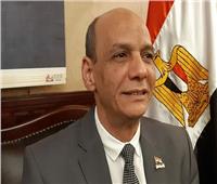 فيديو| «عبد الحليم»: مصر تسير على الطريق الصحيح لترسيخ الأمن