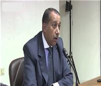 خبير مالي: زيارة وفد «الشركات الأمريكية» شهادة ثقة جديدة في الاقتصاد المصري